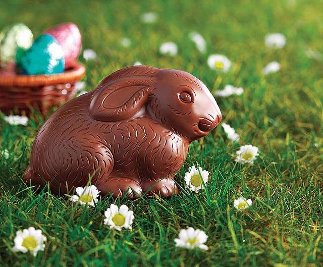 Coniglio di cioccolato da regalare