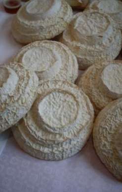 Montebore    forme piccole