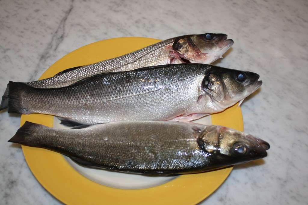 Branzini