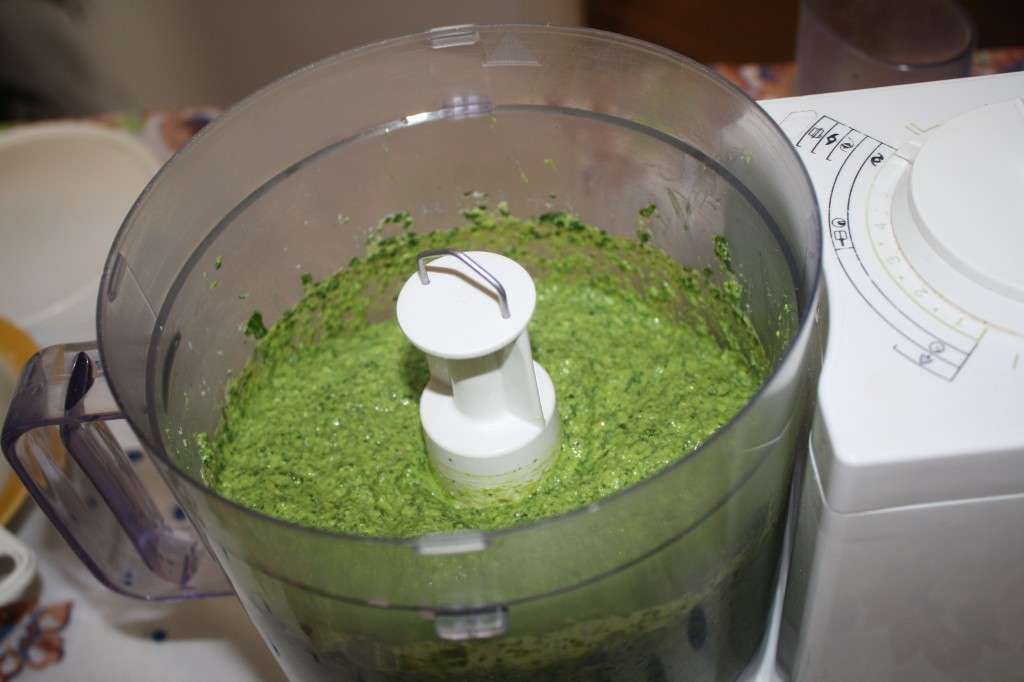 Salva verde in preparazione