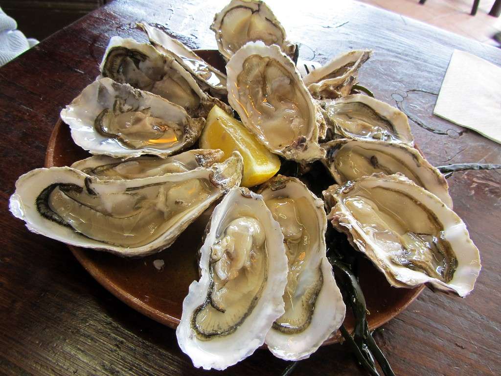 Ricette Pranzo Natale: ostriche