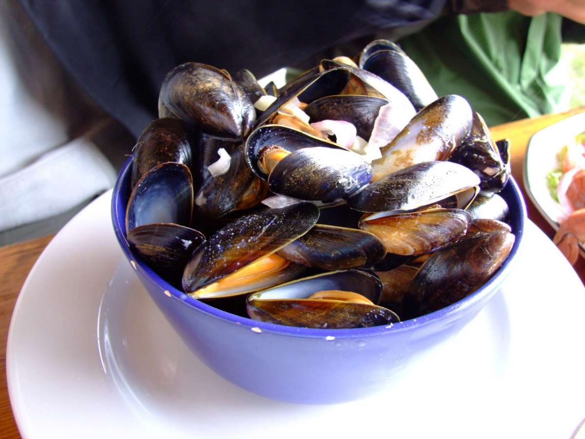 Cozze, perfette per la dieta Dukan