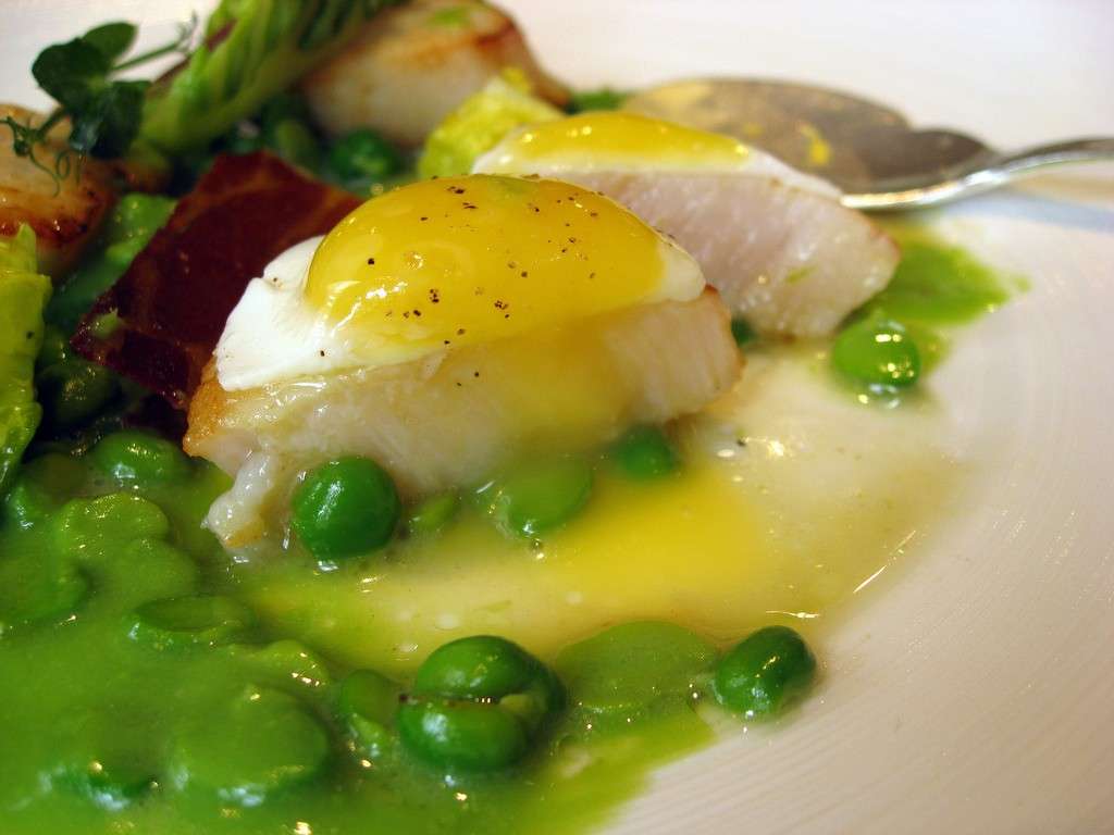 Le capesante di Gordon Ramsay