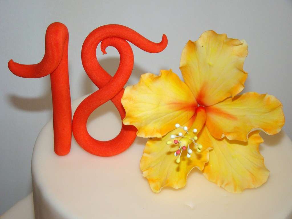 Decorazioni Torte Di Compleanno 18 Anni