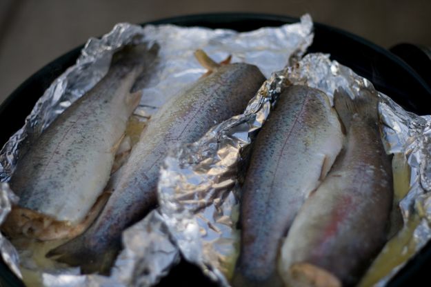 Pesce alla griglia facile