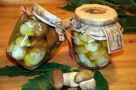 porcini sotto olio