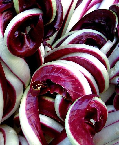 radicchio rosso
