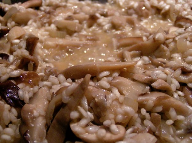 risotto filante ai funghi