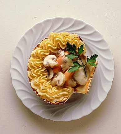 Conchiglie di Scampi