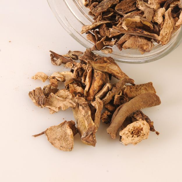 salsa funghi porcini