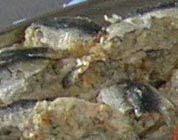 Sarde ripiene