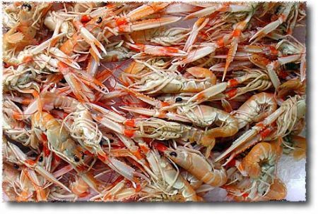 Scamponi al forno
