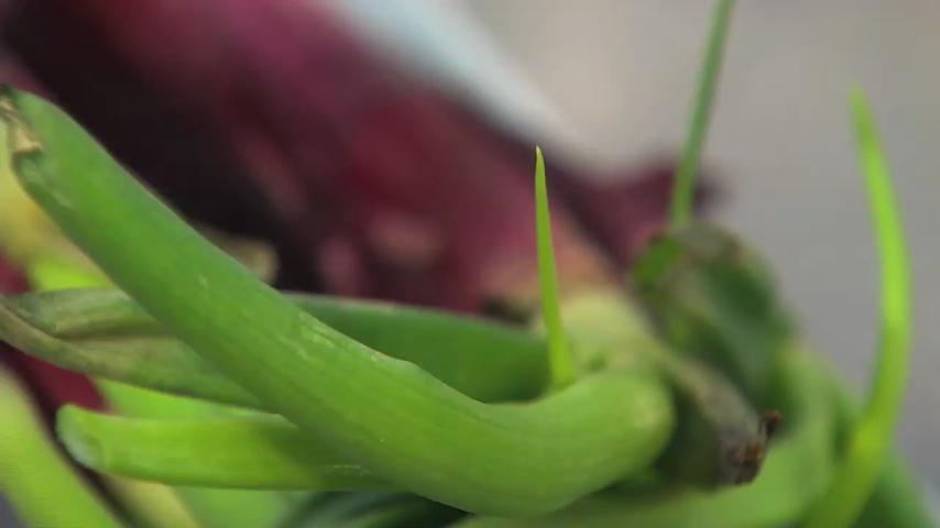 I ravioli croccanti dello Chef