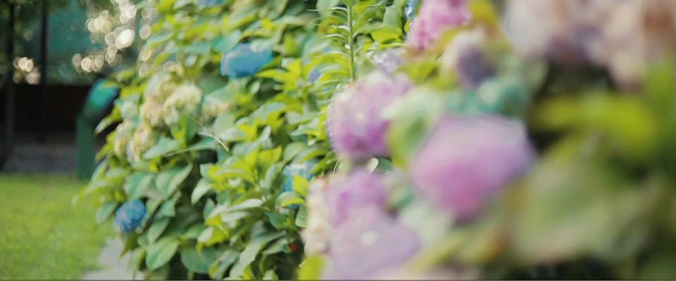 L’importanza della vitamina B12 nell’alimentazione