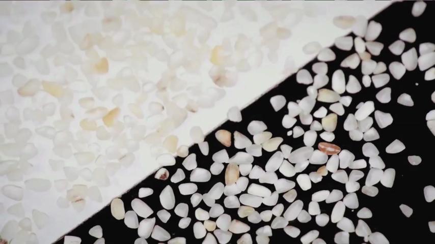 Riso o pasta? Quale dei due è migliore?